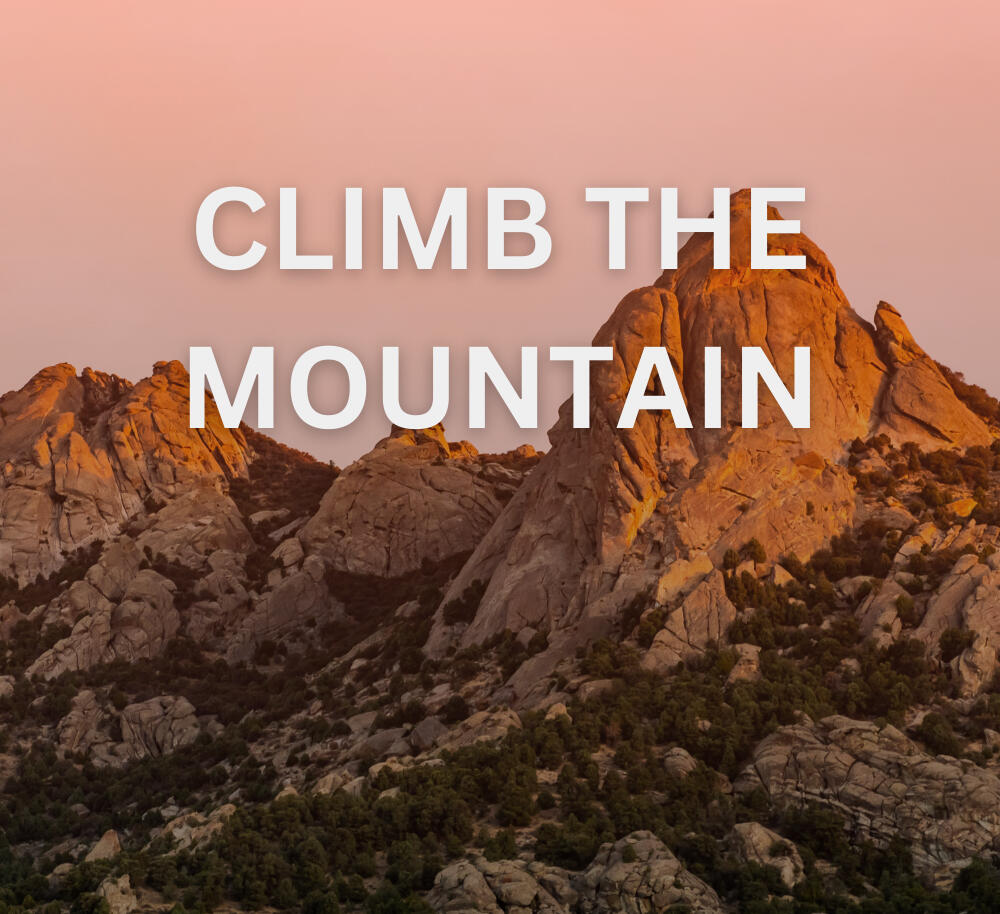 Gamified Interactive Assessment